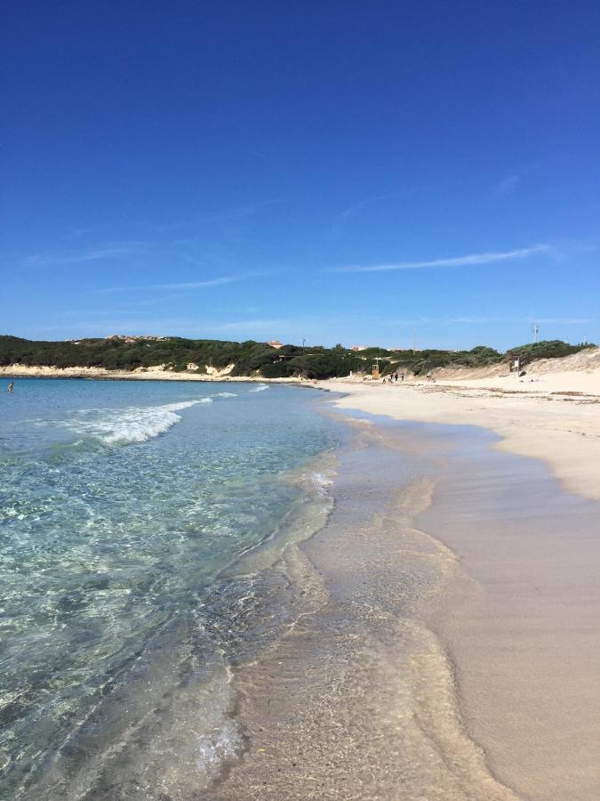 Sarena Santa Teresa Gallura