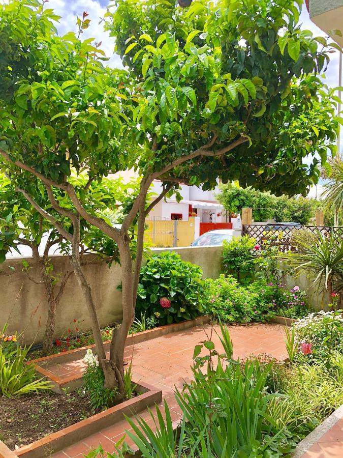 Apartment Sarena Santa Teresa Gallura